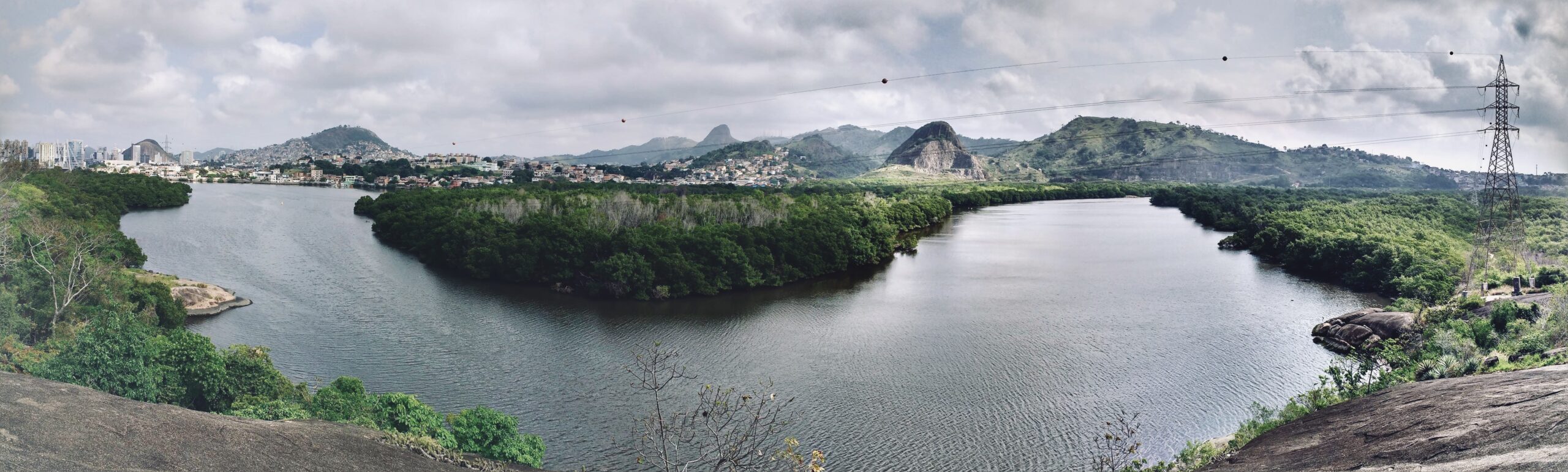 A panoramic view of Vitória's mangrooves